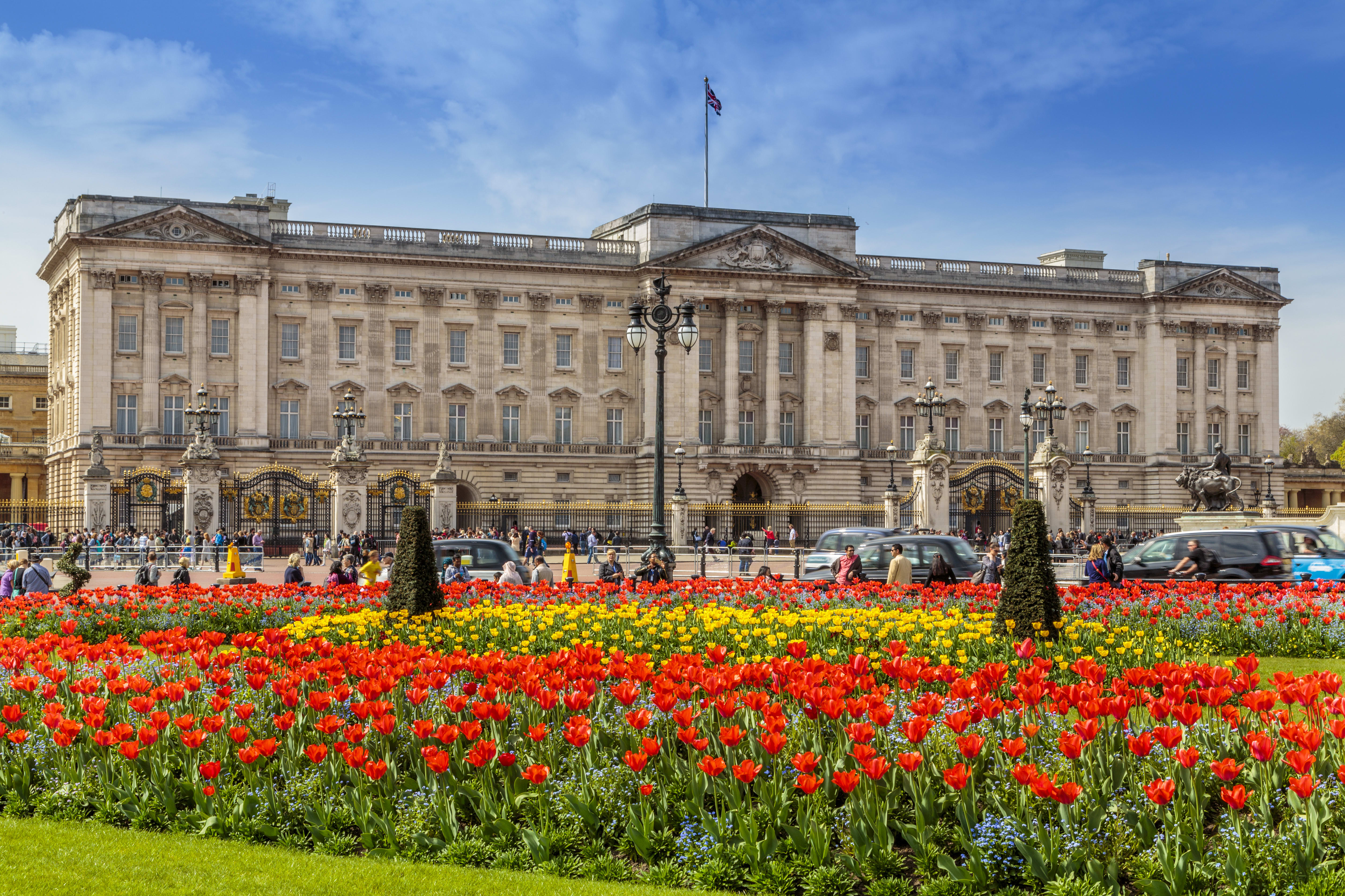Buckingham Palace with red tulips in the foreground