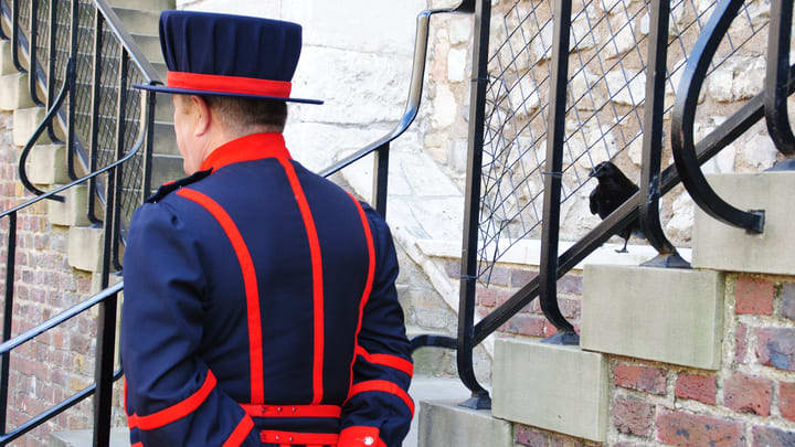 A Beefeater and his raven at the Tower of London